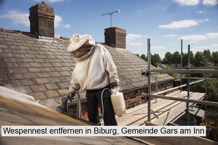 Wespennest entfernen in Biburg, Gemeinde Gars am Inn